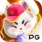 金钱兔
